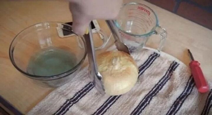 Bu deneyin sonucuna çok şaşıracaksınız! Soğan ile telefon şarj etti - Sayfa 11