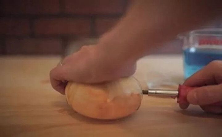 Bu deneyin sonucuna çok şaşıracaksınız! Soğan ile telefon şarj etti - Sayfa 5