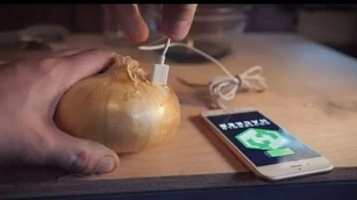 Bu deneyin sonucuna çok şaşıracaksınız! Soğan ile telefon şarj etti - Sayfa 12