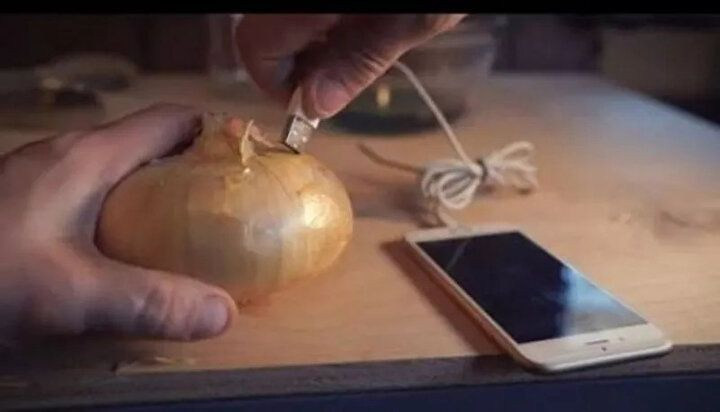 Bu deneyin sonucuna çok şaşıracaksınız! Soğan ile telefon şarj etti - Sayfa 13