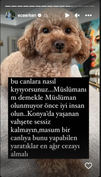 Konya'daki vahşet görüntüleri sosyal medyayı ayağa kaldırdı! Ünlü isimlerden tepki üstüne tepki yağdı - Sayfa 45