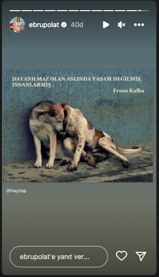 Konya'daki vahşet görüntüleri sosyal medyayı ayağa kaldırdı! Ünlü isimlerden tepki üstüne tepki yağdı - Sayfa 42