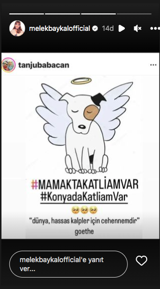 Konya'daki vahşet görüntüleri sosyal medyayı ayağa kaldırdı! Ünlü isimlerden tepki üstüne tepki yağdı - Sayfa 46