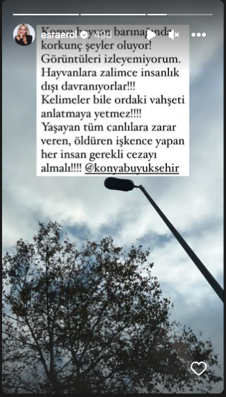 Konya'daki vahşet görüntüleri sosyal medyayı ayağa kaldırdı! Ünlü isimlerden tepki üstüne tepki yağdı - Sayfa 37