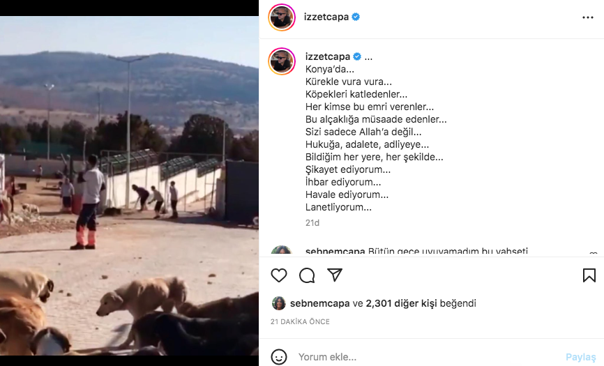 Konya'daki vahşet görüntüleri sosyal medyayı ayağa kaldırdı! Ünlü isimlerden tepki üstüne tepki yağdı - Sayfa 18