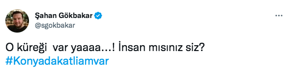 Konya'daki vahşet görüntüleri sosyal medyayı ayağa kaldırdı! Ünlü isimlerden tepki üstüne tepki yağdı - Sayfa 19