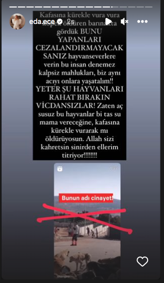 Konya'daki vahşet görüntüleri sosyal medyayı ayağa kaldırdı! Ünlü isimlerden tepki üstüne tepki yağdı - Sayfa 32