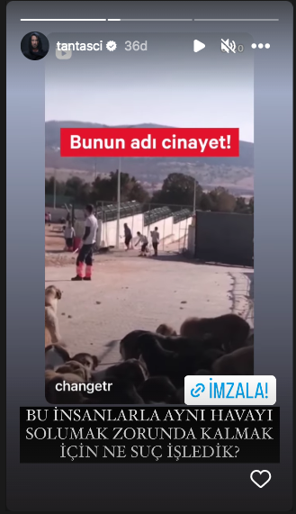 Konya'daki vahşet görüntüleri sosyal medyayı ayağa kaldırdı! Ünlü isimlerden tepki üstüne tepki yağdı - Sayfa 34