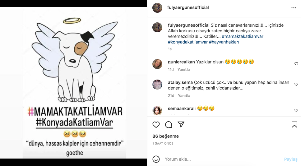 Konya'daki vahşet görüntüleri sosyal medyayı ayağa kaldırdı! Ünlü isimlerden tepki üstüne tepki yağdı - Sayfa 26