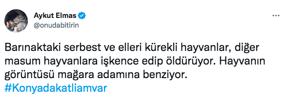 Konya'daki vahşet görüntüleri sosyal medyayı ayağa kaldırdı! Ünlü isimlerden tepki üstüne tepki yağdı - Sayfa 25