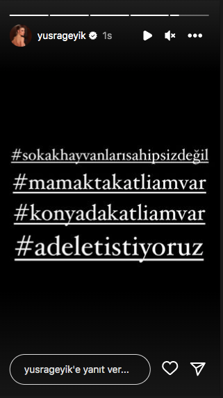 Konya'daki vahşet görüntüleri sosyal medyayı ayağa kaldırdı! Ünlü isimlerden tepki üstüne tepki yağdı - Sayfa 35