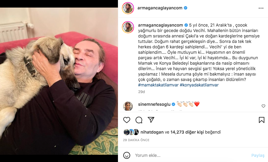 Konya'daki vahşet görüntüleri sosyal medyayı ayağa kaldırdı! Ünlü isimlerden tepki üstüne tepki yağdı - Sayfa 12