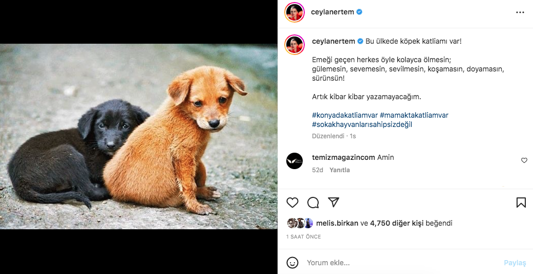 Konya'daki vahşet görüntüleri sosyal medyayı ayağa kaldırdı! Ünlü isimlerden tepki üstüne tepki yağdı - Sayfa 10