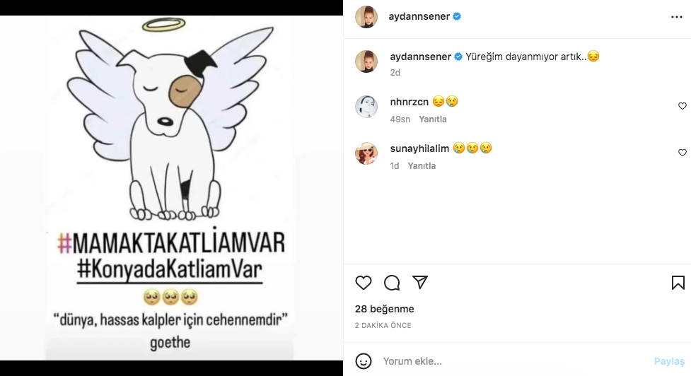 Konya'daki vahşet görüntüleri sosyal medyayı ayağa kaldırdı! Ünlü isimlerden tepki üstüne tepki yağdı - Sayfa 16