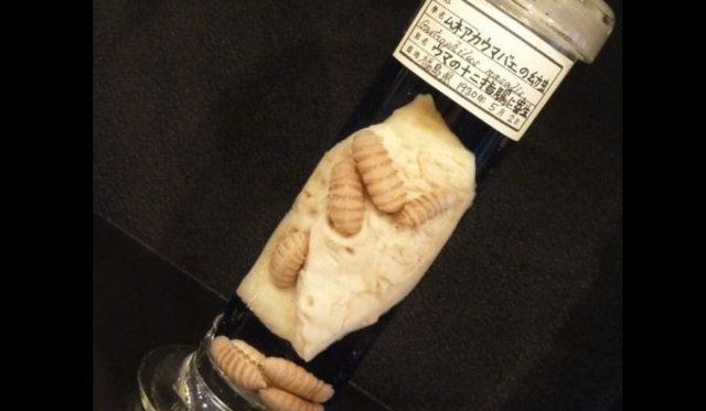 Dünyanın en korkunç 10 müzesi! - Sayfa 17