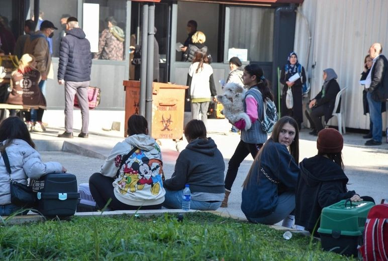 31 Aralık son gün! Evcil hayvanına çip taktırmayan yandı! Veterinerler uyarıyor... - Sayfa 7