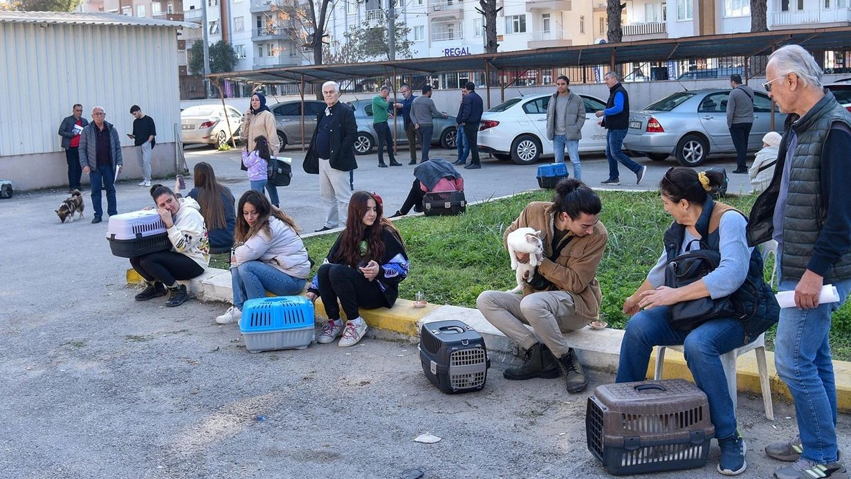 31 Aralık son gün! Evcil hayvanına çip taktırmayan yandı! Veterinerler uyarıyor... - Sayfa 5