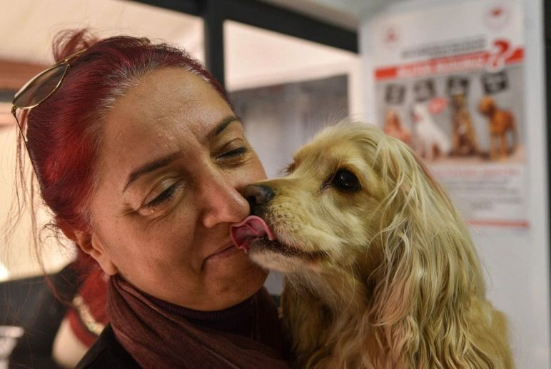 31 Aralık son gün! Evcil hayvanına çip taktırmayan yandı! Veterinerler uyarıyor... - Sayfa 6