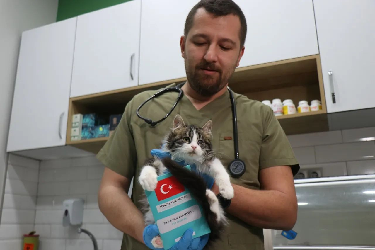 31 Aralık son gün! Evcil hayvanına çip taktırmayan yandı! Veterinerler uyarıyor... - Sayfa 8