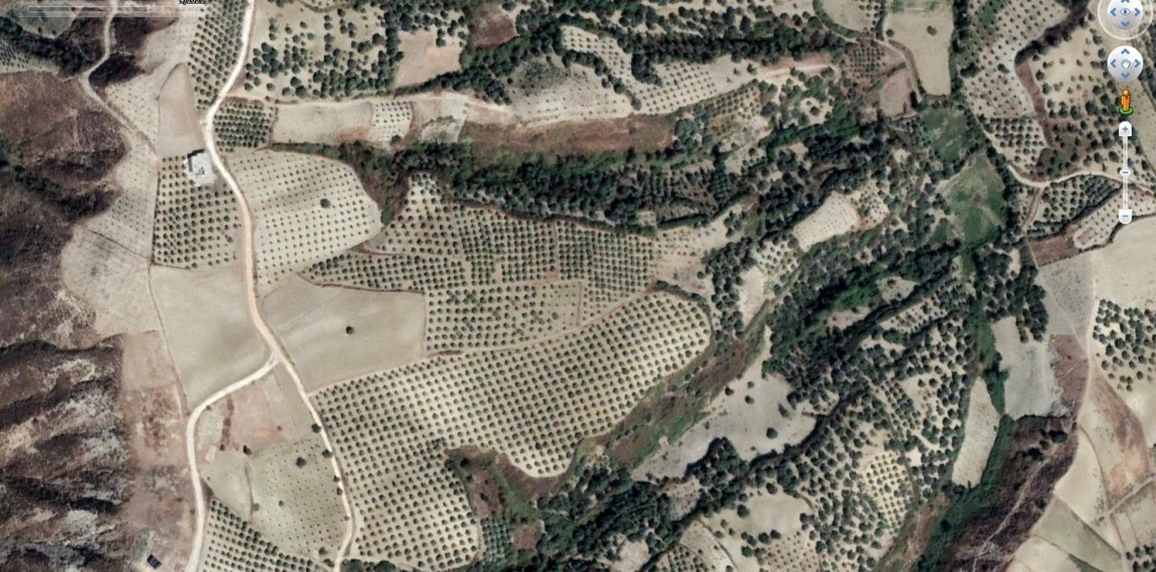 Hatay'da depremin etkisiyle oluşan 500 metrelik dev yarık uzaydan göründü - Sayfa 10