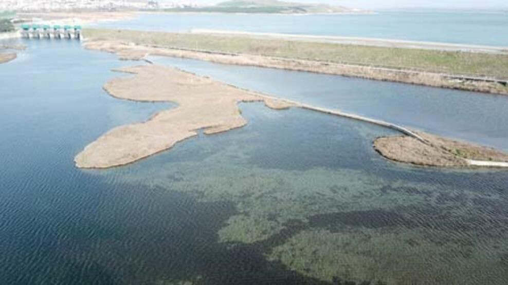 İstanbul alarm veriyor! Yüzde 94'ten yüzde 30'a düştü... - Sayfa 10