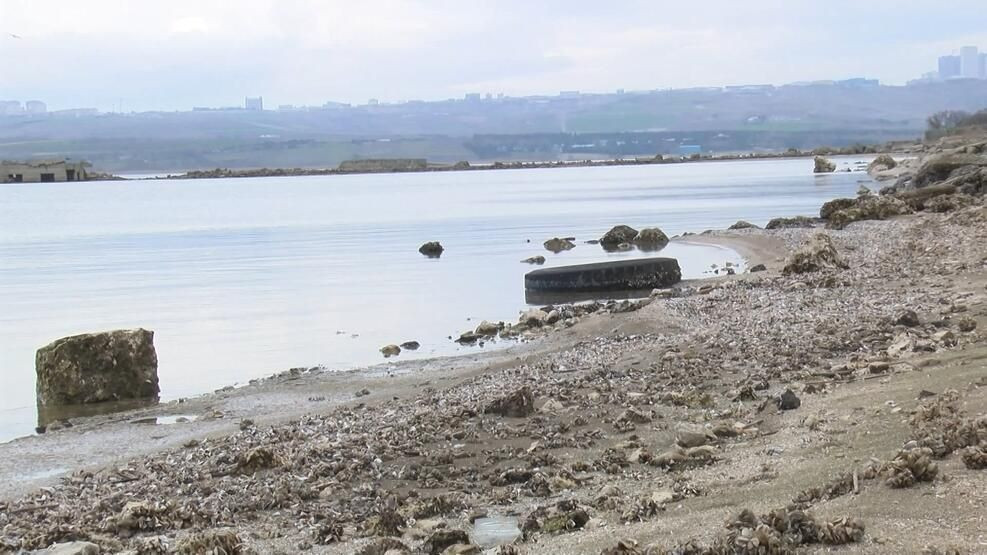 İstanbul alarm veriyor! Yüzde 94'ten yüzde 30'a düştü... - Sayfa 6