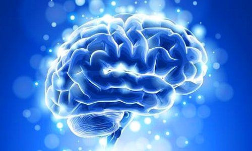 Alzheimere karşı besinler! Bu besinler beynimizi koruyor... - Sayfa 15