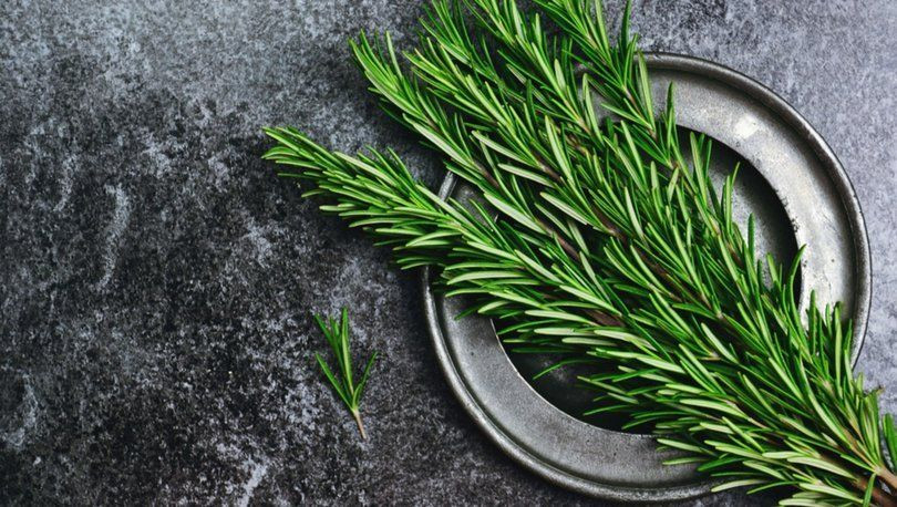 Alzheimere karşı besinler! Bu besinler beynimizi koruyor... - Sayfa 19