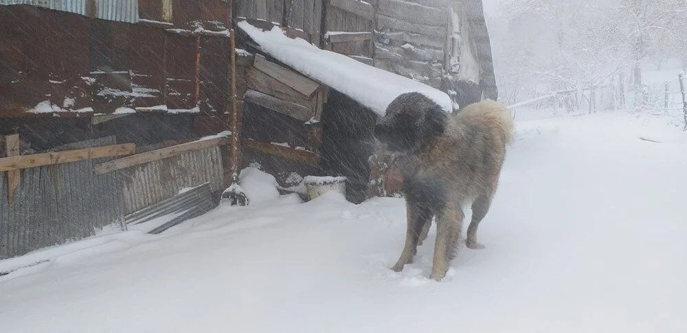 Soğuk hava Türkiye'yi esir aldı! Birçok ilde kar yağışı var - Sayfa 17