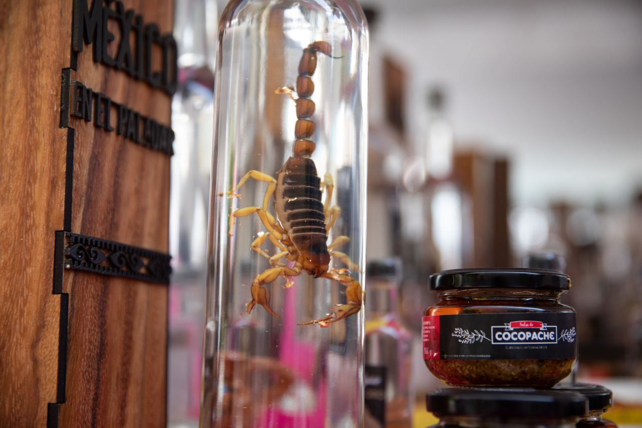 Akrep, tırtıl ne varsa yediler! Böcek festivalinden garip görüntüler - Sayfa 7