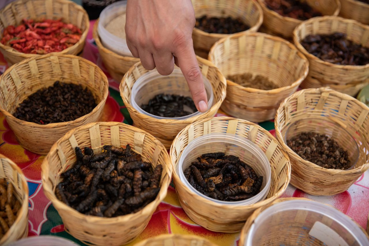 Akrep, tırtıl ne varsa yediler! Böcek festivalinden garip görüntüler - Sayfa 10