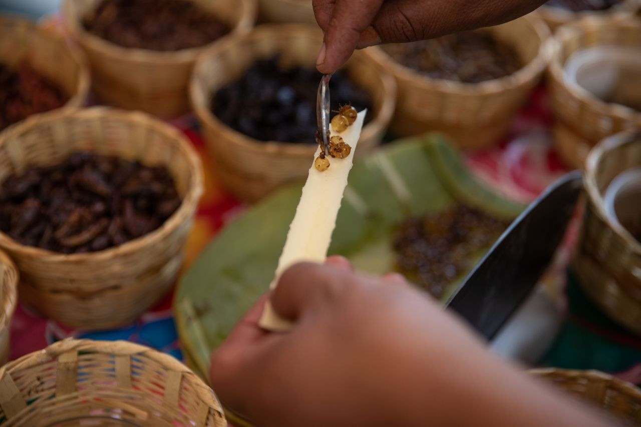 Akrep, tırtıl ne varsa yediler! Böcek festivalinden garip görüntüler - Sayfa 12