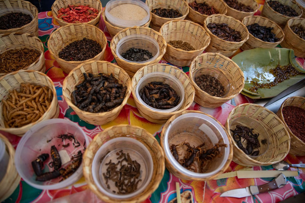 Akrep, tırtıl ne varsa yediler! Böcek festivalinden garip görüntüler - Sayfa 13