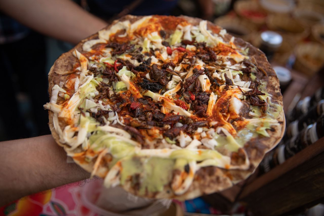 Akrep, tırtıl ne varsa yediler! Böcek festivalinden garip görüntüler - Sayfa 14