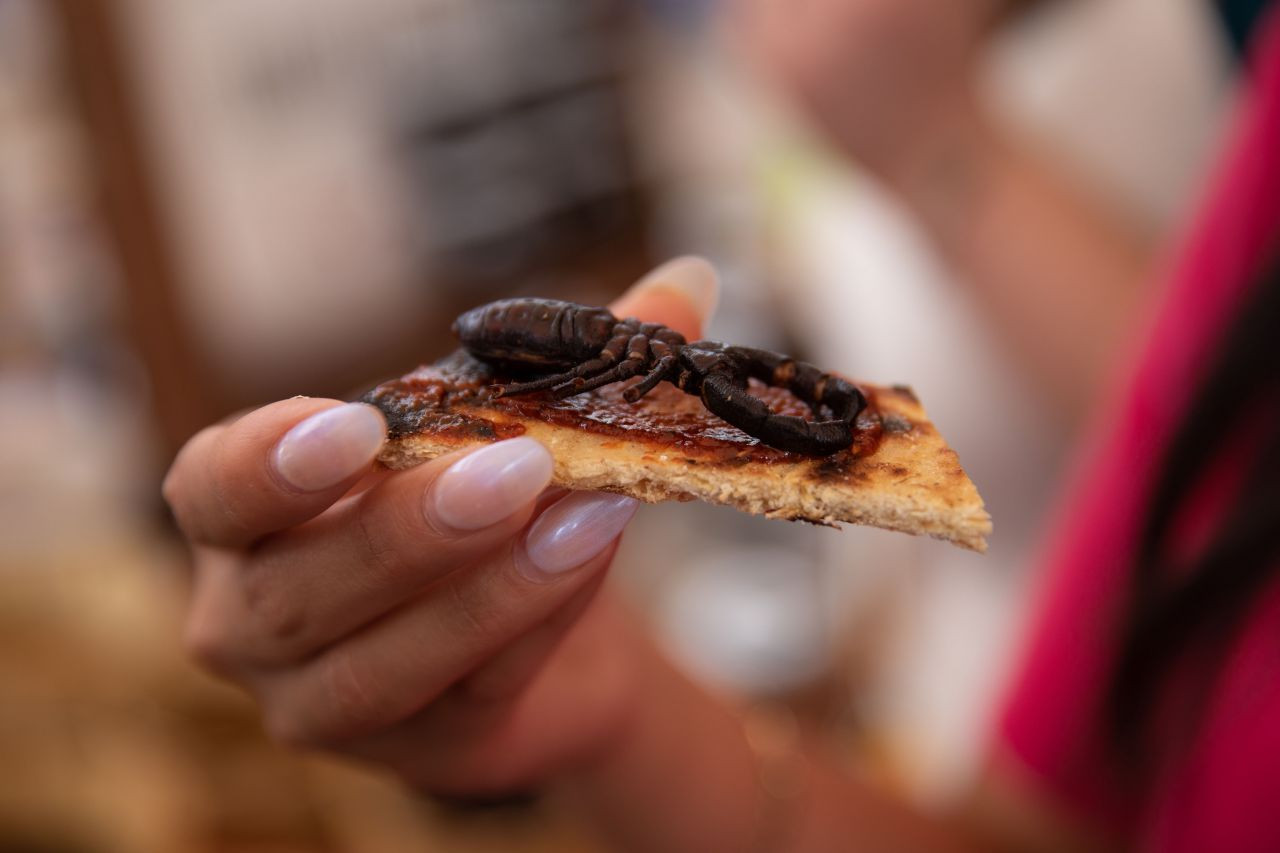 Akrep, tırtıl ne varsa yediler! Böcek festivalinden garip görüntüler - Sayfa 19