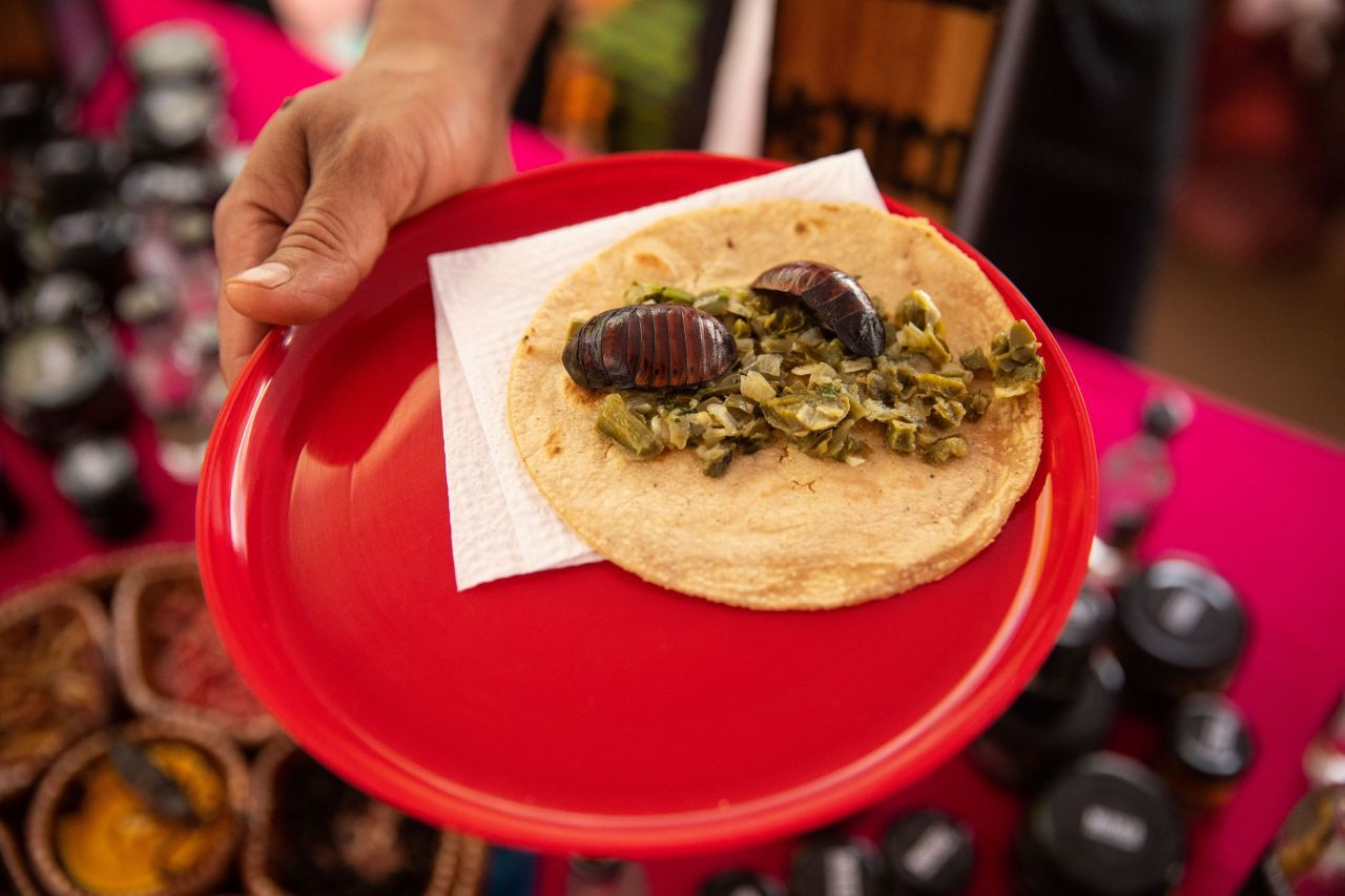 Akrep, tırtıl ne varsa yediler! Böcek festivalinden garip görüntüler - Sayfa 24