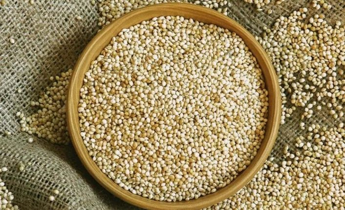 Demir depolarımız dolup taşacak! Dünyanın en zengin magnezyum kaynağı oymuş.... - Sayfa 5