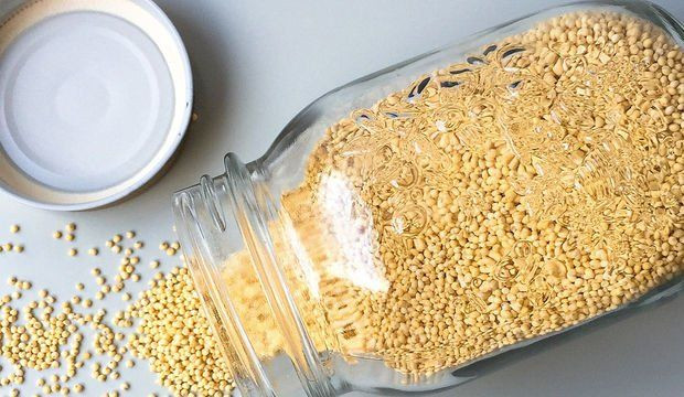 Demir depolarımız dolup taşacak! Dünyanın en zengin magnezyum kaynağı oymuş.... - Sayfa 6