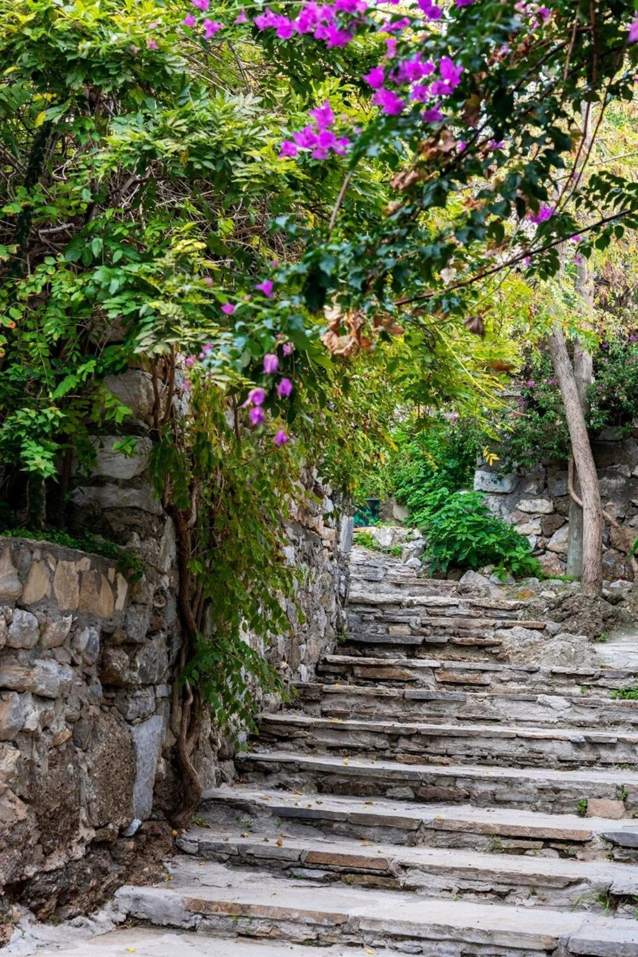 İlkbahar'ın vazgeçilmez adresi! En iyi bungalov rotaları - Sayfa 7