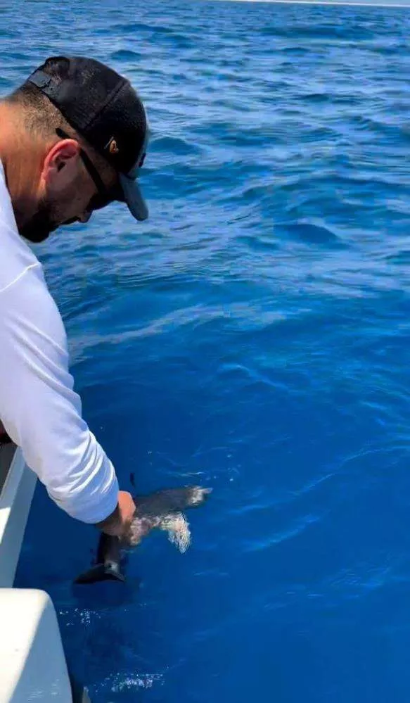 Gözlerinden ışık saçıyor! Antalya'da oltaya öyle bir şey takıldı ki... - Sayfa 11