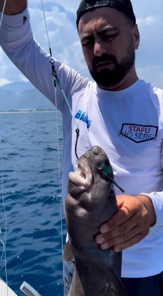 Gözlerinden ışık saçıyor! Antalya'da oltaya öyle bir şey takıldı ki... - Sayfa 9