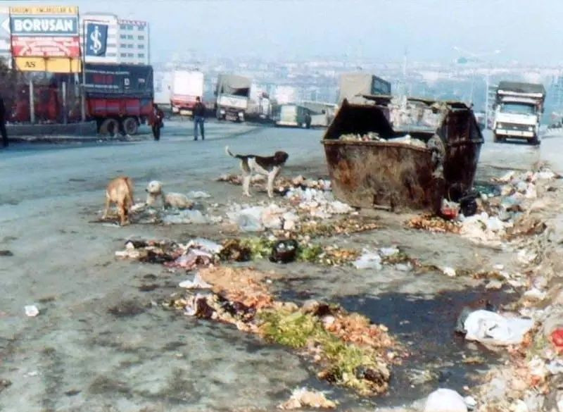 İstanbul'un çöp dağları geri döndü: İmamoğlu koltuk peşinde koşarken, İstanbul'un hali 30 yıl öncesine döndü - Sayfa 10