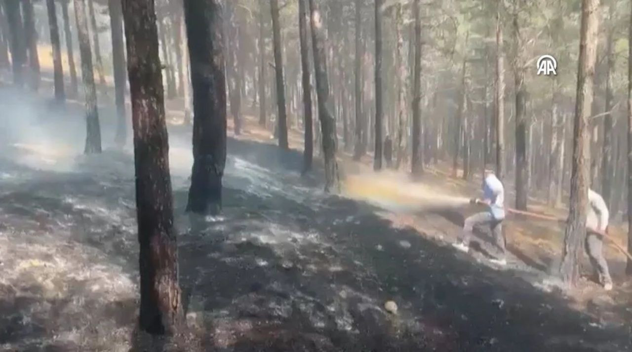 İzmir, Muğla ve Kahramanmaraş’ta orman yangını - Sayfa 8