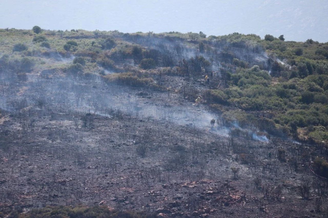 İzmir, Muğla ve Kahramanmaraş’ta orman yangını - Sayfa 5