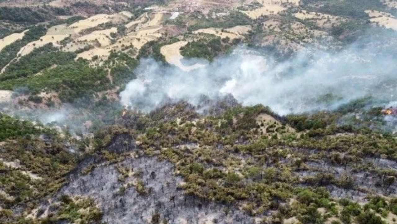 Ciğerlerimiz yanıyor! 7 ilde orman yangını - Sayfa 8