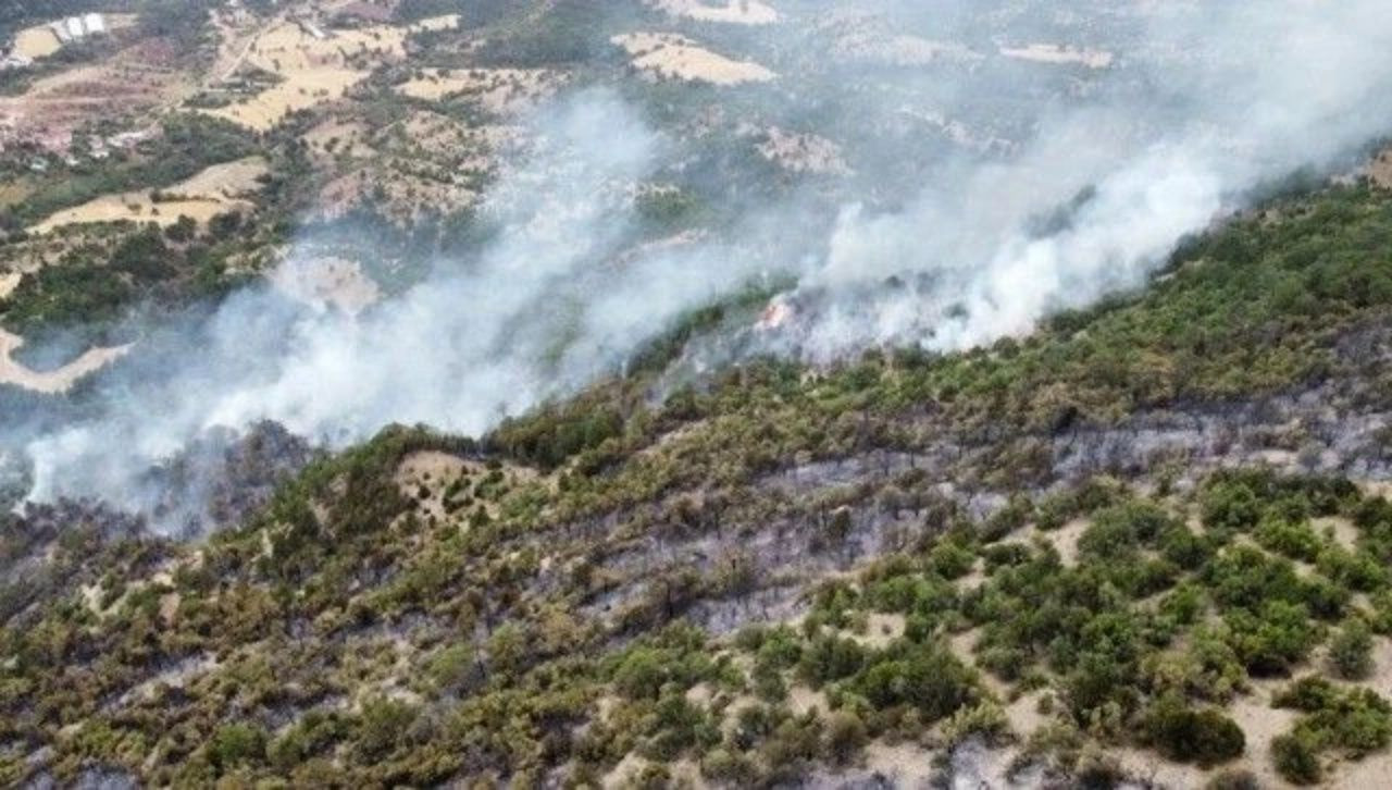 Ciğerlerimiz yanıyor! 7 ilde orman yangını - Sayfa 7