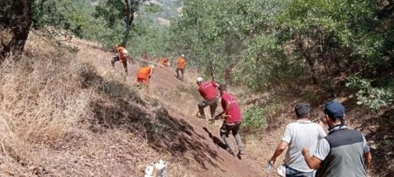 Ciğerlerimiz yanıyor! 7 ilde orman yangını - Sayfa 14