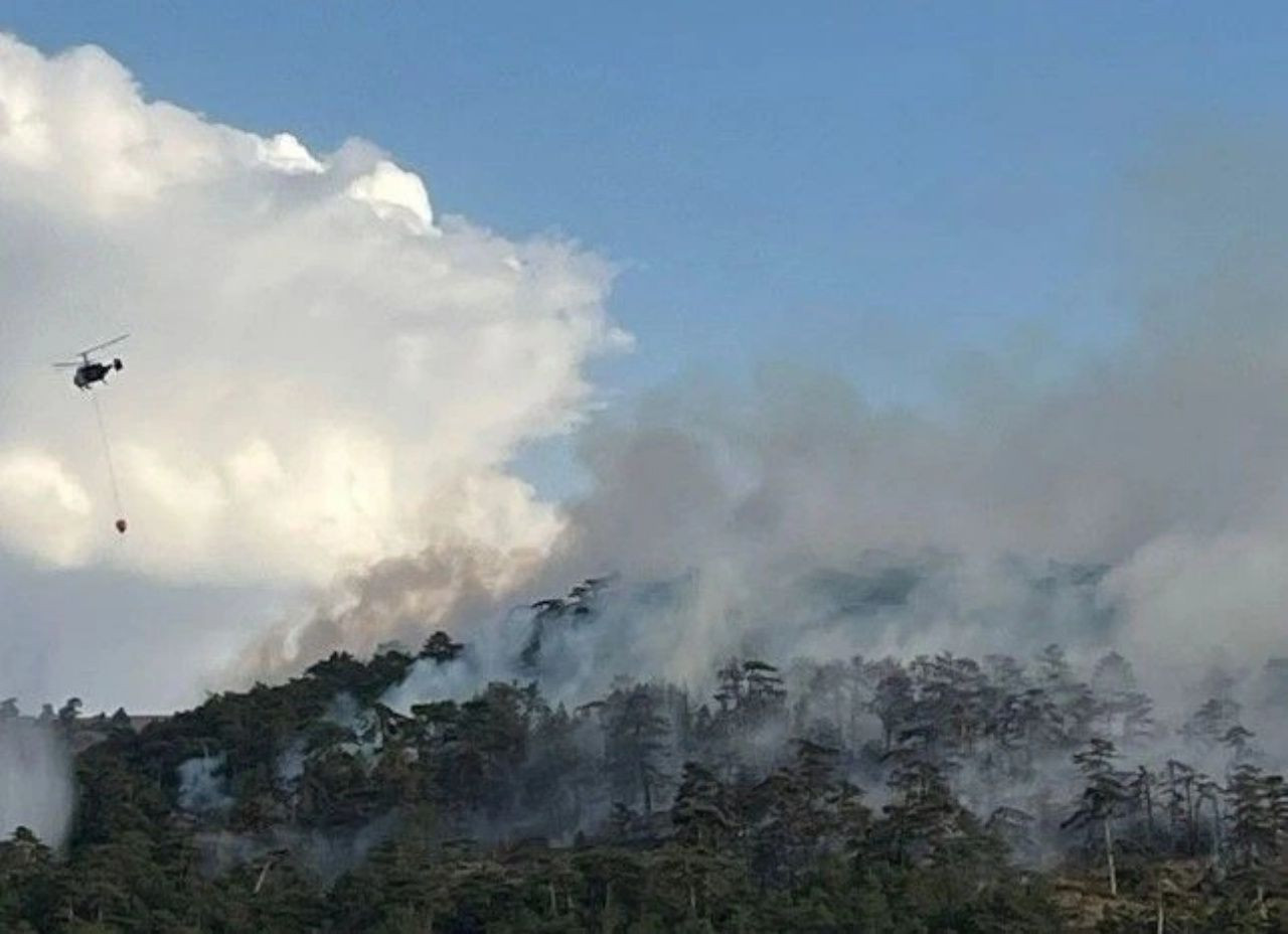Ciğerlerimiz yanıyor! 7 ilde orman yangını - Sayfa 13