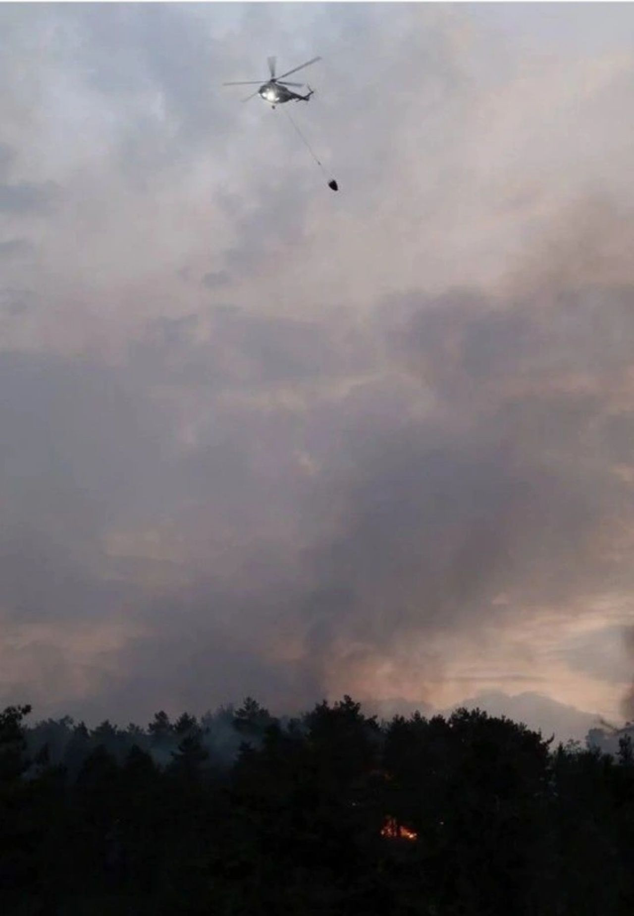 Ciğerlerimiz yanıyor! 7 ilde orman yangını - Sayfa 6