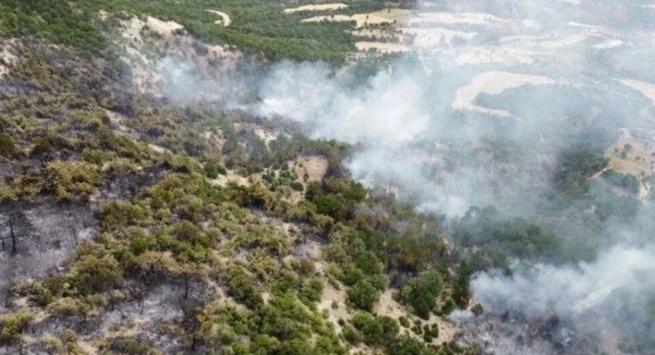 Ciğerlerimiz yanıyor! 7 ilde orman yangını - Sayfa 11